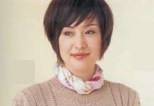 Описание пуловера спицами