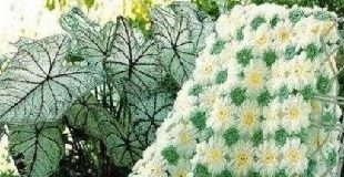 Плед с узором Ромашки крючком