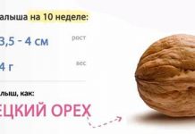 10 неделя беременности: что происходит с малышом и мамой